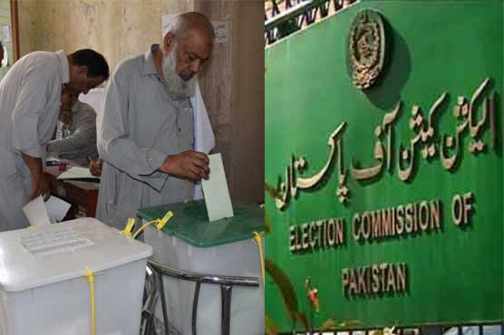 انتخابات میں 17 ہزار 816 امیدواروں نے حصہ لیا، الیکشن کمیشن نے رپورٹ جاری کر دی