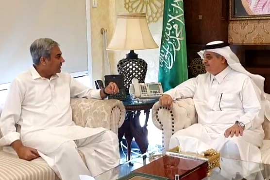 محسن نقوی کی سعودی سفیر سے ملاقات، باہمی دلچسپی کے امور پر تبادلہ خیال