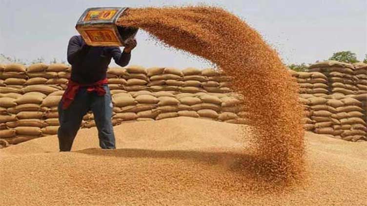 Wheat scandal committee yet to submit report
