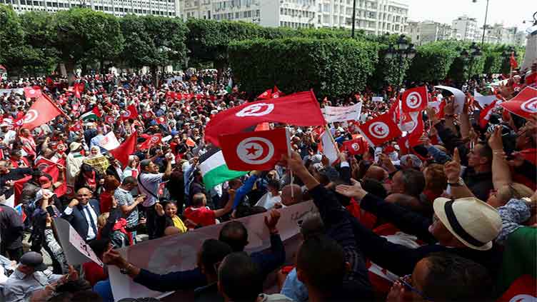 Hundreds of Tunisian president's supporters protest against 'foreign interference'