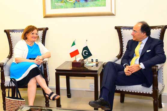 وفاقی وزیر خزانہ کی اطالوی سفیر کو پاکستان میں سرمایہ کاری کی دعوت