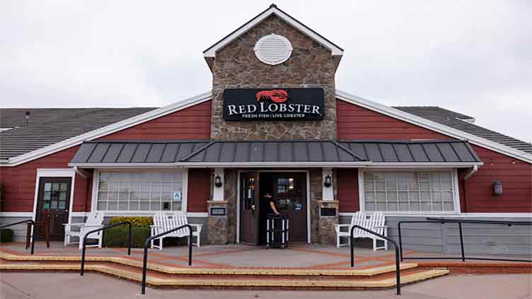 Red Lobster seeks bankruptcy protection with $100 mln in financing commitments