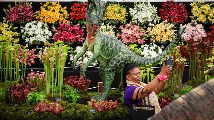 Changing climate influences London's Chelsea Flower Show