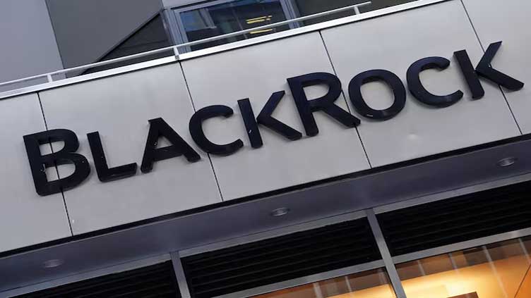 BlackRock pushed Anglo to extend talks with BHP
