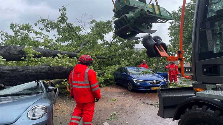 Latest deadly weather in US kills at least 20 as storms carve path of ruin across multiple states