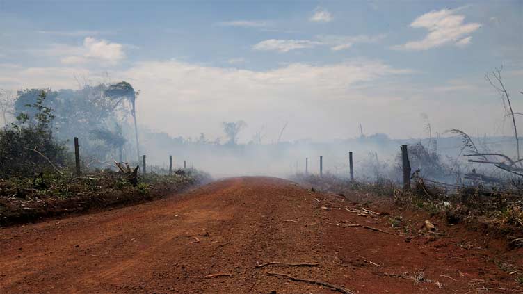 Operations to destroy illegal roads in Colombia's Amazon hit standstill, sources say