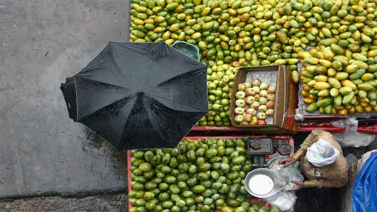 India monsoon rains expected to be above average in a boost for agriculture