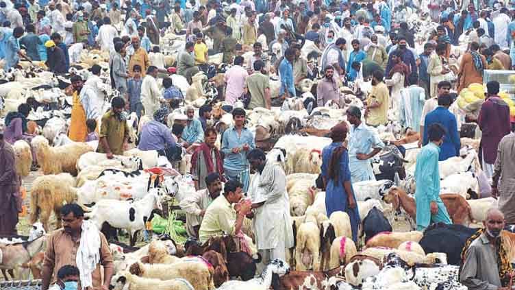 Do police have plan to prevent crime ahead of Eidul Azha?