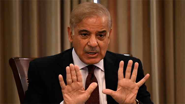 LHC seeks response on admissibility of plea over PM Shehbaz's 'black sheep' remarks