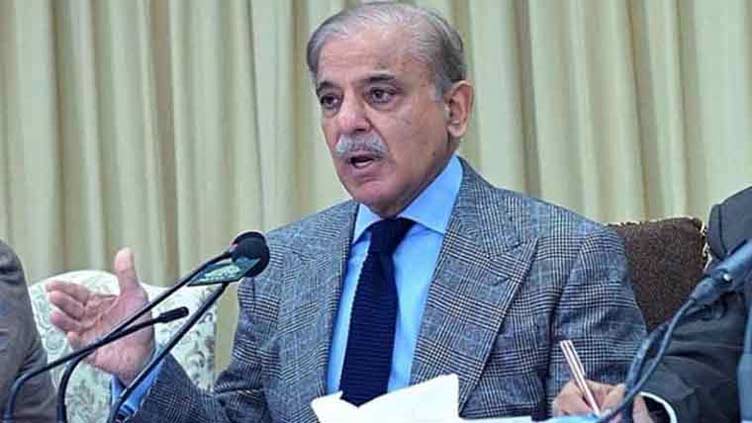 PM Shehbaz urges international community to play role in ending barbaric crimes in Gaza