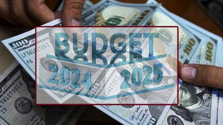 Govt to set budget at Rs295/$ amid fears of currency devaluation