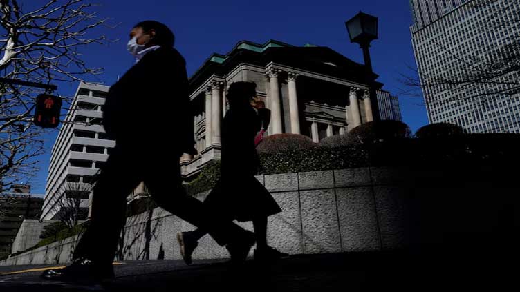 Japan political turmoil a risk for BOJ December hike, former board member says