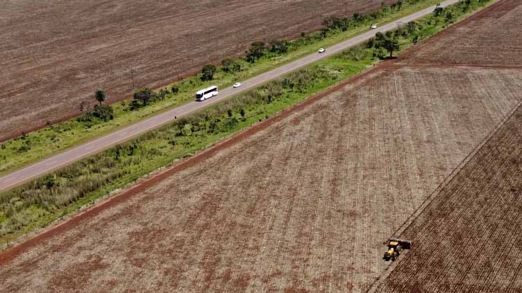 Brazilian state law overturns soy moratorium that helped curb Amazon deforestation