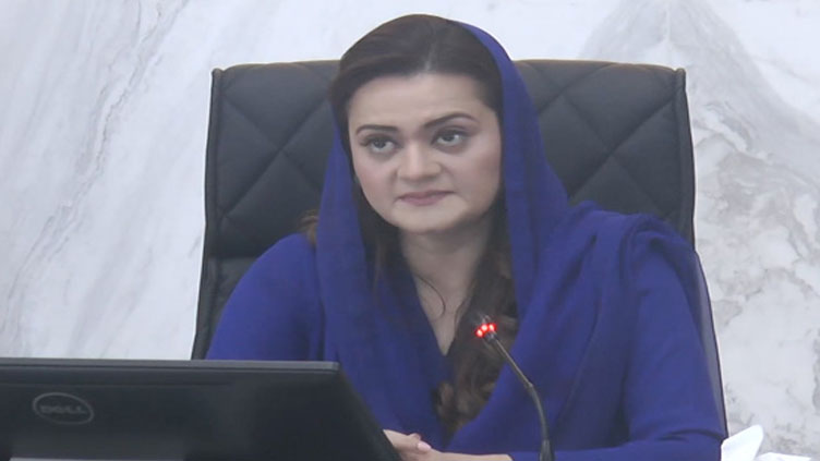 Marriyum Aurangzeb refutes claims of PIA purchase by Punjab government 