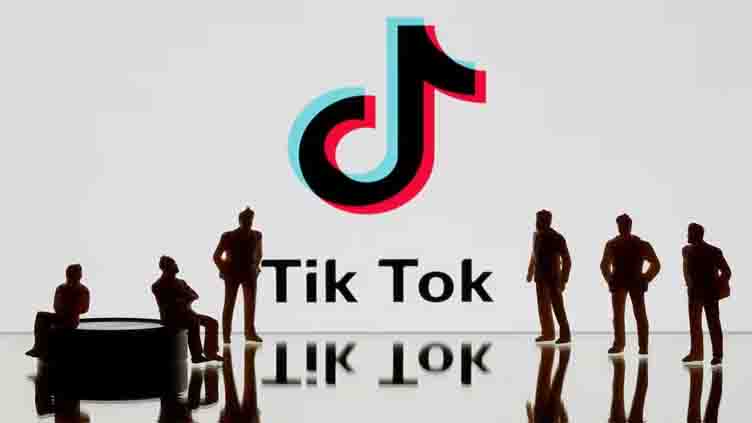 French families sue TikTok over alleged failure to remove harmful content