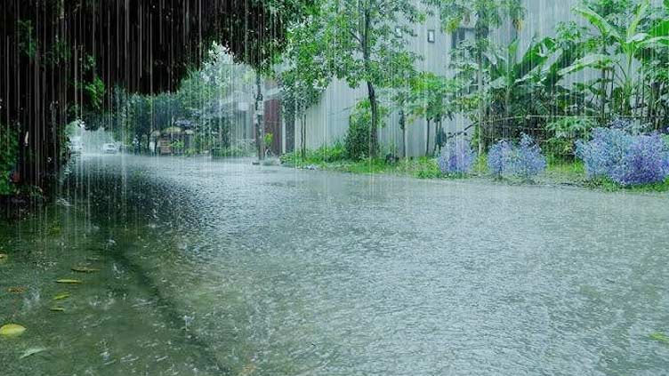 Monsoon rains 24% above average this year, record levels released