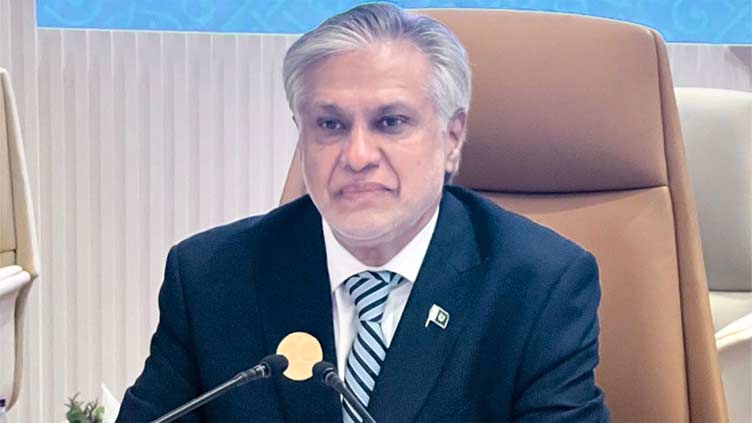 Deputy PM Dar urges international community to bring end to Gaza genocide