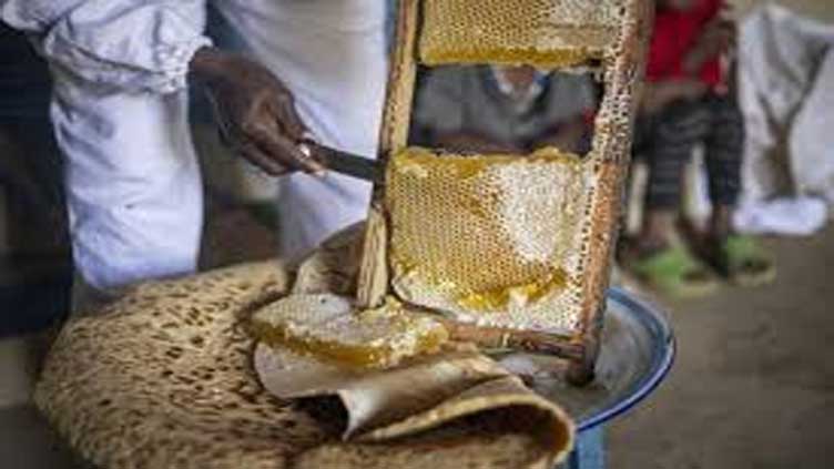 Dunya News Ethiopia's famed honeybees make slow recovery from war