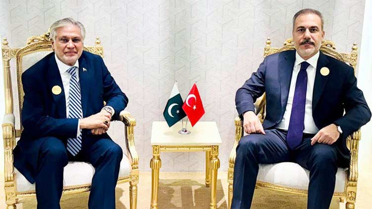 Deputy PM, Turkiye FM discuss Gaza genocide