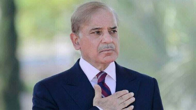 PM Shehbaz reaches Baku to attend COP29 summit