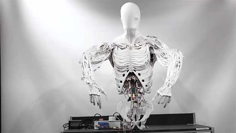 Humanoid robot with water-powered muscles comes to life