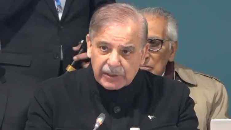 Climate catastrophe: PM Shehbaz urges developed nations to lead from the front