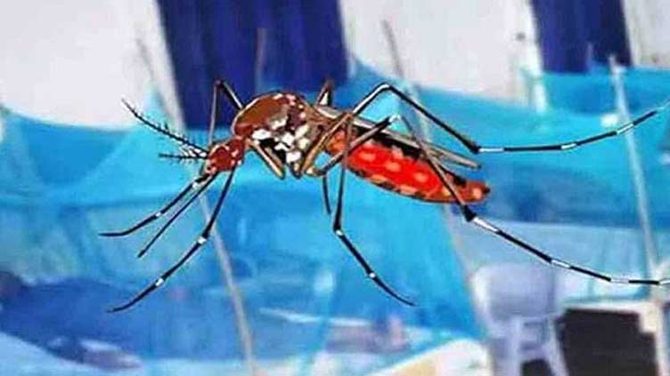 Dengue claims life of 14-year-old girl in Lahore