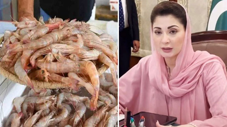 Maryam Nawaz launches aqua shrimp farming internship program for youth