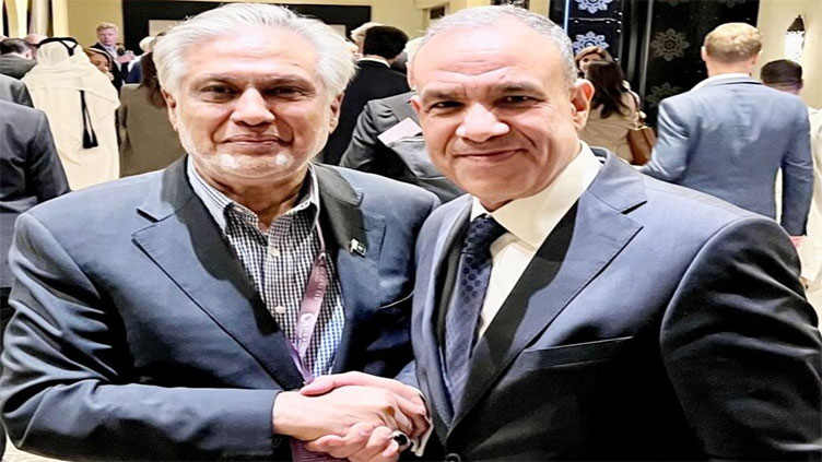 Deputy PM, Egyptian FM discuss bilateral ties