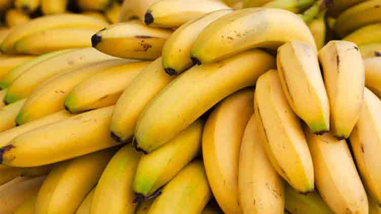 Swedish minister's staff insists on banana-free meetings due to weirdest phobia