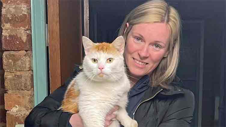 When a missing cat found in another city - 300 miles away from her home 