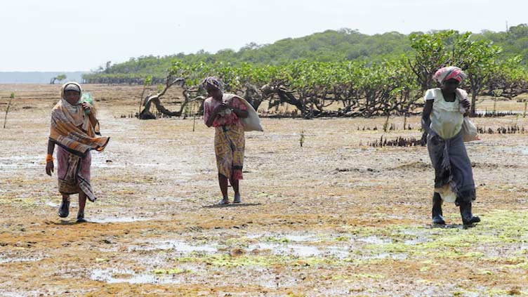 Dunya News After missing school due to extreme heat, African children push for climate action