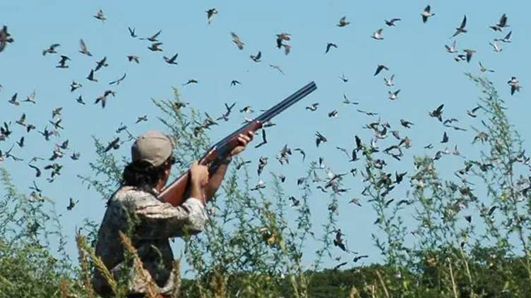 Punjab Wildlife Department grants two-month partridge hunting licence