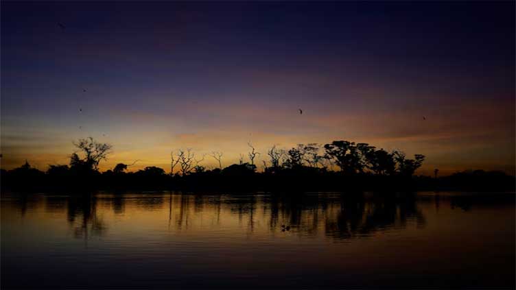 Dunya News Methane from tropical wetlands is surging, threatening climate plans