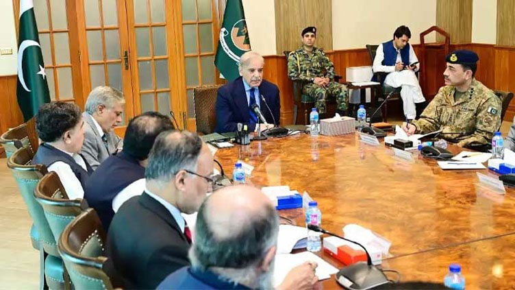 National Action Plan's Apex Committee to meet today