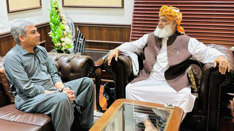 Mohsin Naqvi meets Maulana Fazlur Rehman, discusses national issues