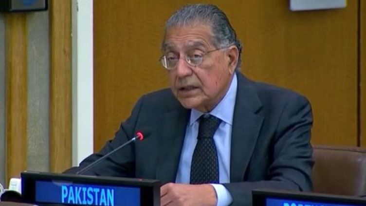 More non-permanent members rather than new permanent ones will make UNSC effective: Pakistan