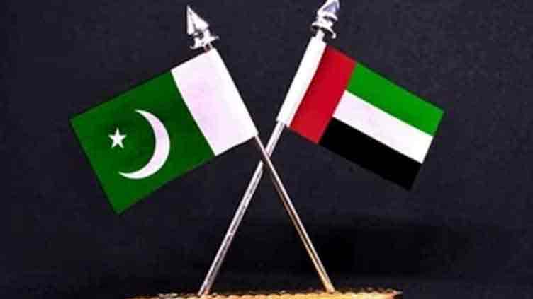 Pakistani embassy dismisses news of visa ban by UAE as fake