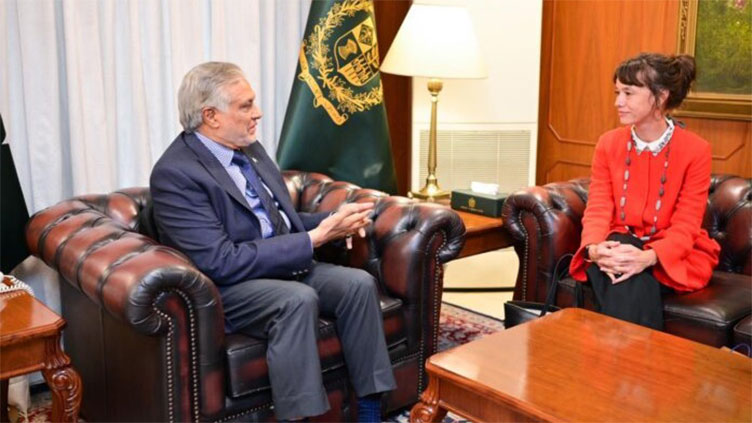 Sweden envoy calls on DPM Dar