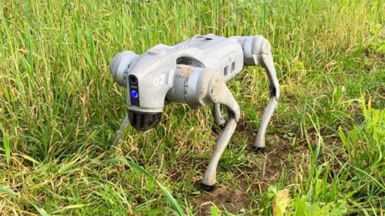 Robot dog can scale 16ft heights in just 1 second, sniff out chemicals in soil