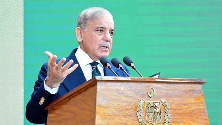 National security is directly linked with economic stability, says PM Shehbaz