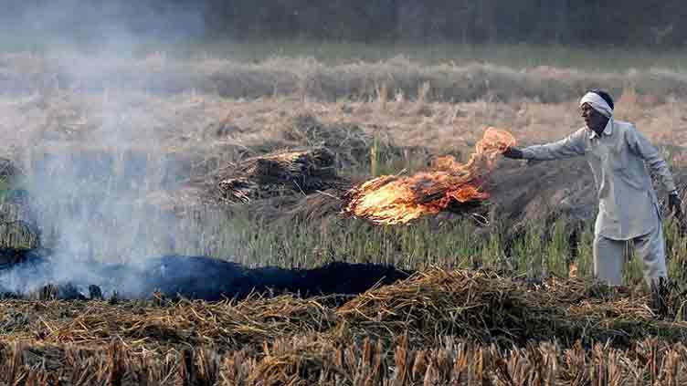 Air pollution from fires blamed for 1.5m deaths a year