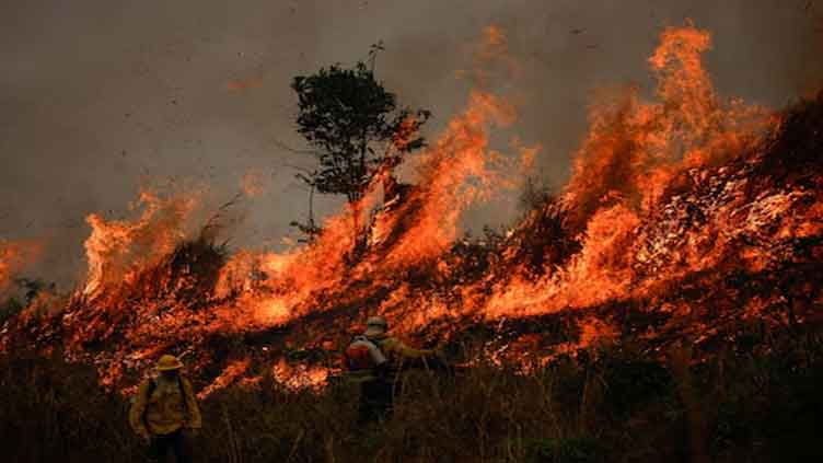 Fires in Brazil's Amazon rainforest region surge for third month