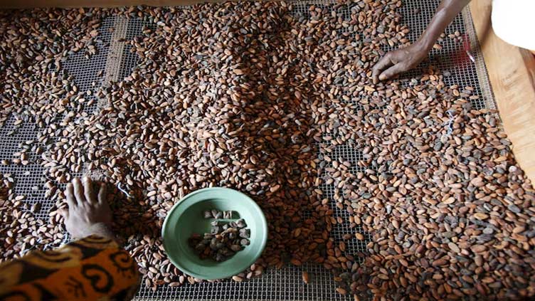 Ivory Coast seizes 33 trucks carrying smuggled cocoa beans