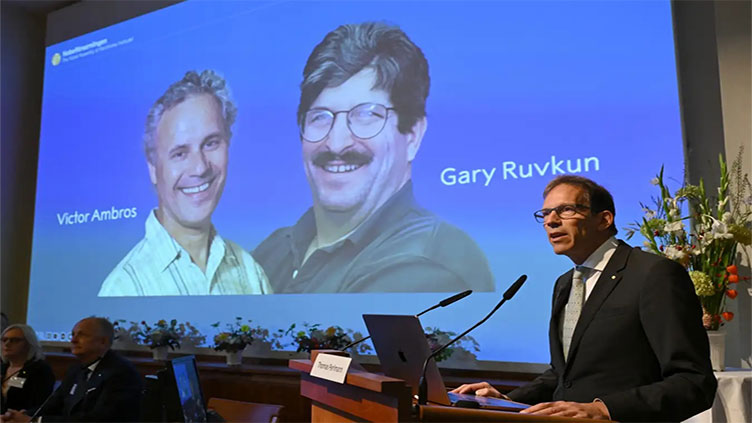 Nobel prize for medicine goes to US scientists for discovery of microRNA