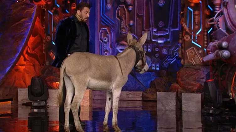 Fury over showing donkey on Bigg Boss set