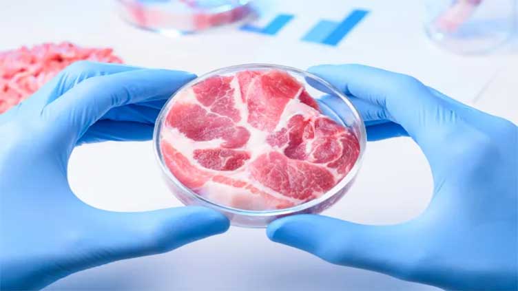 Lab-grown meat could be on our plates in just two years