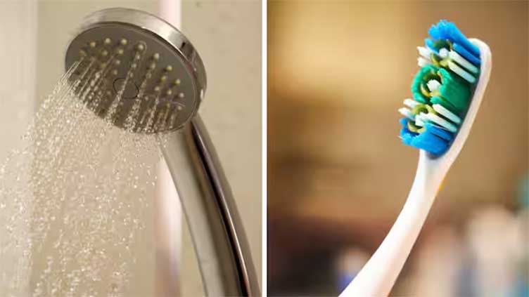 Never-seen microbes growing on your toothbrush, showerhead