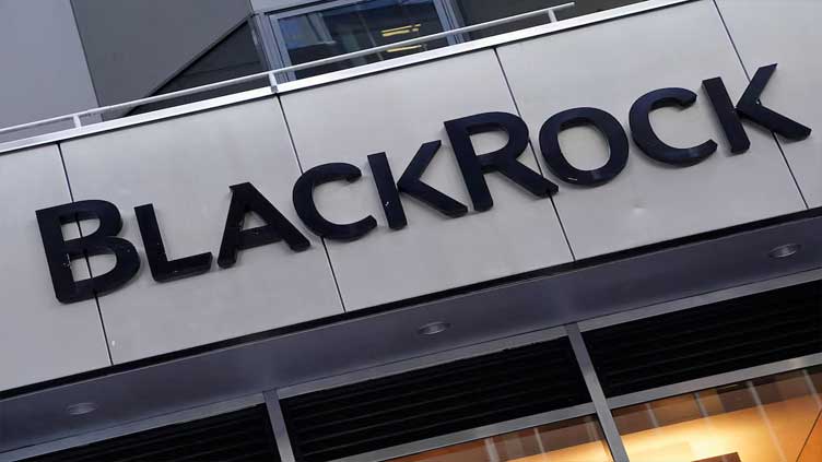 BlackRock's assets hit record $11.5 trillion amid private market push