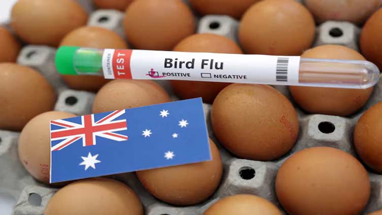 Australia commits $64 million to protect against bird flu